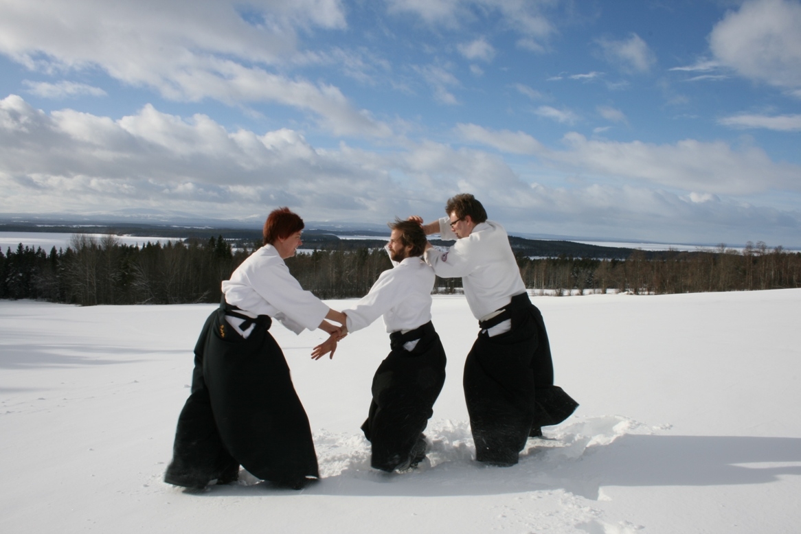 Aikido winter games