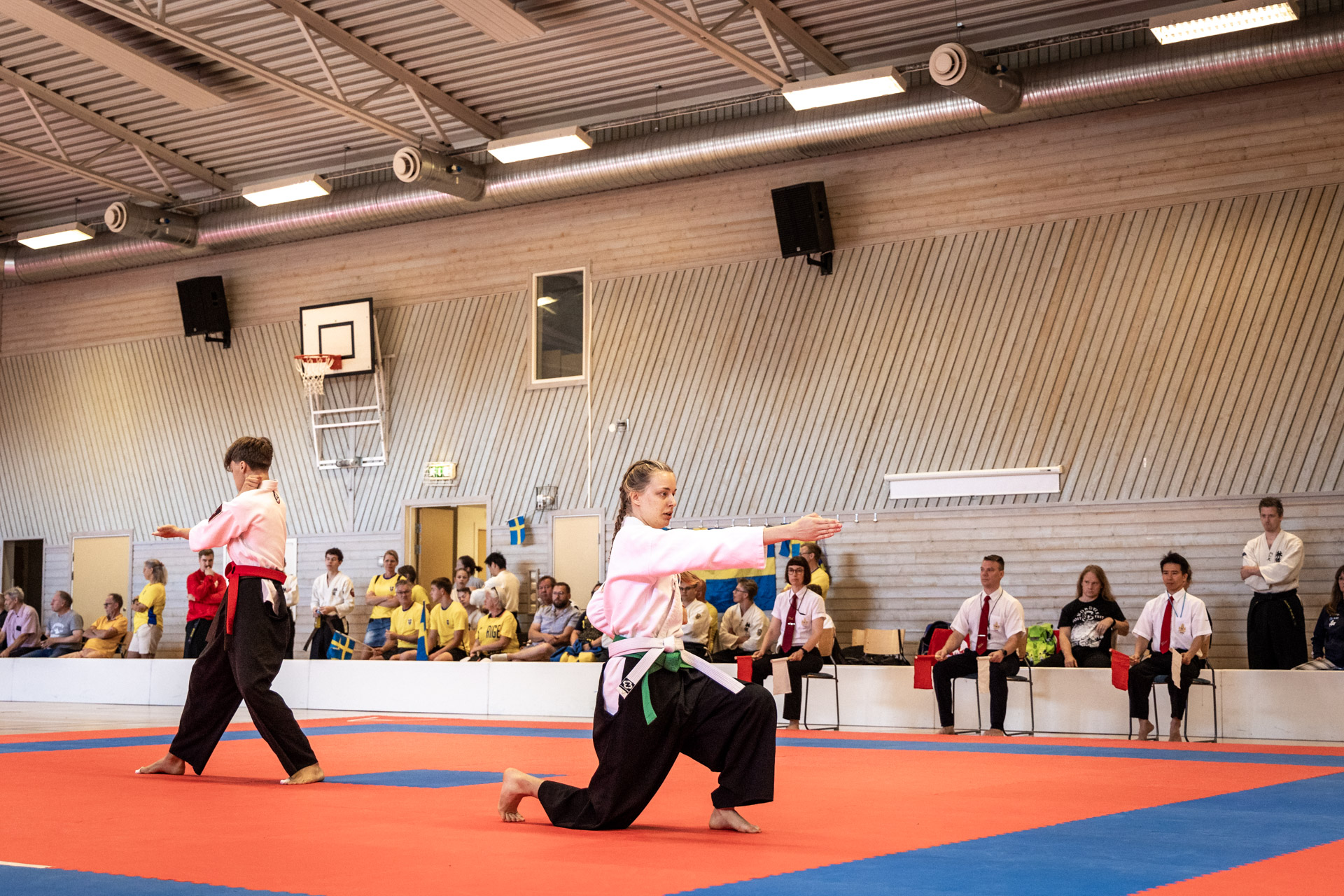 Dubbla Taido-silver vid Nordic Open